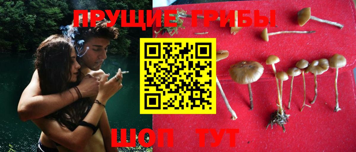 Галлюциногенные грибы MAGIC MUSHROOMS Наро-Фоминск