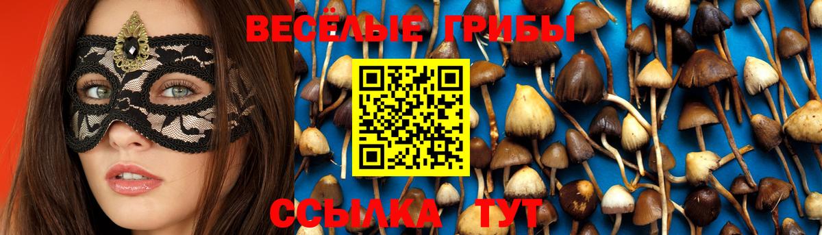 Наро-Фоминск  как найти закладки  Вход с VPN  Галлюциногенные грибы мухоморы 